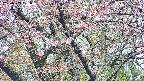 takano4-20250503091057.jpg