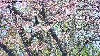 takano4-20250503092057.jpg