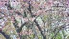 takano4-20250503093058.jpg
