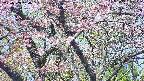 takano4-20250503094057.jpg