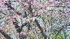 takano4-20250503100058.jpg