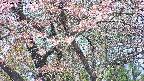 takano4-20250503101058.jpg