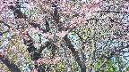 takano4-20250503102056.jpg
