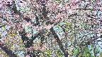 takano4-20250503103059.jpg