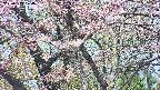 takano4-20250503104057.jpg