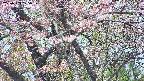 takano4-20250503105058.jpg