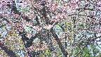 takano4-20250503110057.jpg