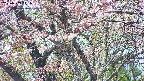 takano4-20250503111057.jpg