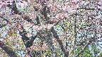 takano4-20250503112057.jpg