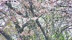 takano4-20250503113057.jpg