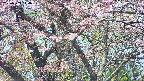 takano4-20250503114058.jpg