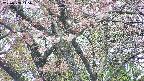 takano4-20250503115057.jpg