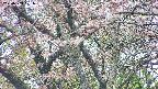 takano4-20250503121057.jpg