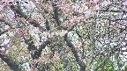 takano4-20250503122057.jpg