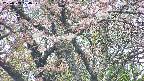 takano4-20250503124058.jpg