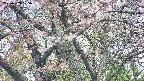 takano4-20250503125058.jpg