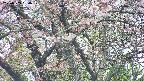 takano4-20250503130058.jpg