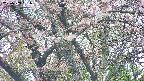takano4-20250503131059.jpg