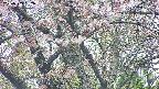 takano4-20250503132056.jpg