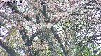 takano4-20250503133056.jpg