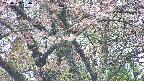 takano4-20250503134058.jpg