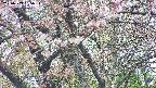 takano4-20250503135055.jpg