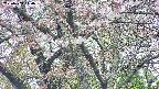 takano4-20250503140058.jpg