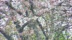 takano4-20250503141056.jpg