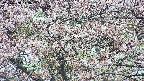 takano4-20250503143058.jpg