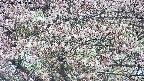 takano4-20250503144058.jpg