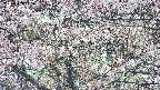 takano4-20250503145057.jpg