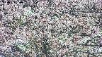 takano4-20250503150058.jpg