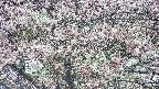 takano4-20250503151057.jpg