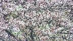 takano4-20250503152058.jpg