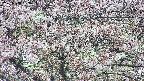 takano4-20250503153056.jpg