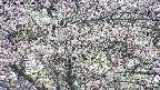 takano4-20250503154057.jpg