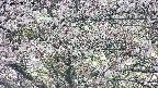 takano4-20250503155058.jpg