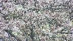 takano4-20250503160058.jpg