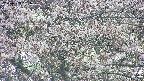 takano4-20250503161057.jpg