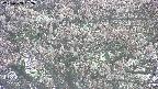 takano4-20250503162058.jpg