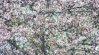 takano4-20250503171058.jpg