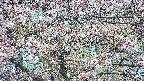 takano4-20250503172057.jpg