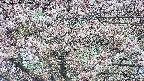 takano4-20250503173059.jpg