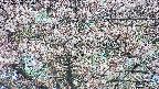 takano4-20250503174057.jpg