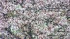 takano4-20250503180059.jpg