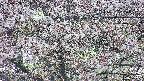 takano4-20250503181059.jpg