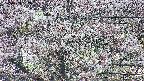 takano4-20250503182057.jpg