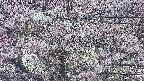 takano4-20250503183058.jpg