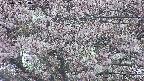 takano4-20250503184058.jpg