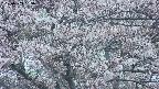 takano4-20250503185058.jpg